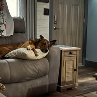 Jessi Lamia Warzecha's profile image