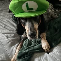 Rod Armstrong's profile image