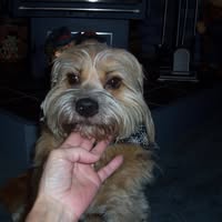 Donna Shavrnoch's profile image