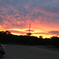 Philip Ozanne's profile image