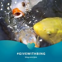 Robin Ellison's profile image