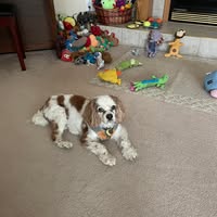 MaryEllen Lewis's profile image