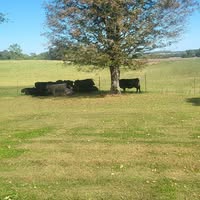 Bill Barton's profile image