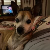 Teresa Rugg's profile image