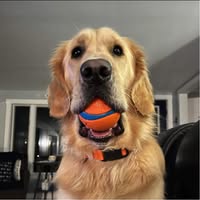 Hazel McClaran Fannin's profile image