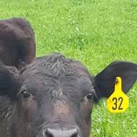 Farmer Haley's profile image