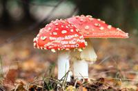 Naomi B's profile image