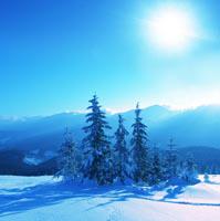 Elise M's profile image