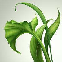 Robyn C's profile image