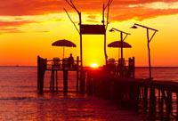 Olivia W's profile image