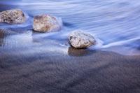 Shan H's profile image