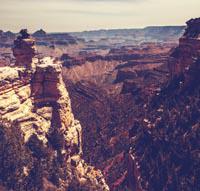 Sushma V's profile image