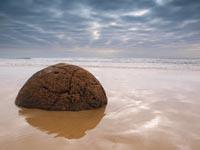 Jacque C's profile image