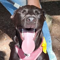 Krissy Guertin's profile image