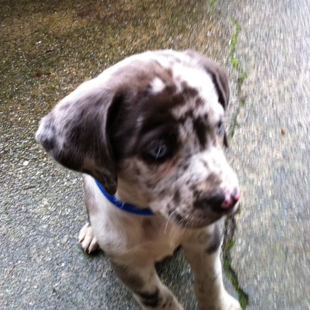 Chris M.'s profile image