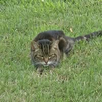 Jim Holland's profile image