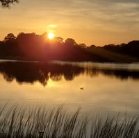 Deborah Zemba's profile image