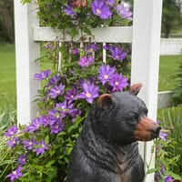 George Wenn's profile image