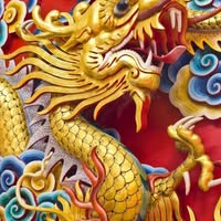 Anthony Tran's profile image