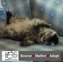 Jocelyn Vereb's profile image