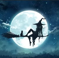 Debby Czubak Homan's profile image