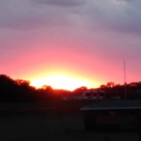 Ed Gilbert's profile image