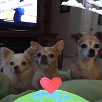 Christine Taylor's profile image