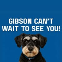 Stephanie Richmond Anderson's profile image