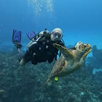 Dan Briceno's profile image