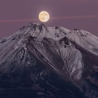 Pamela Smith's profile image