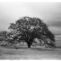 Blake Butry's profile image