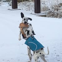 MT Garza's profile image