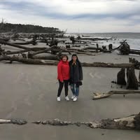 Anita Celli's profile image