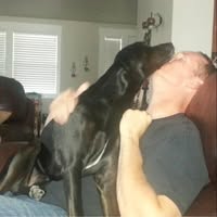 Brian Demma's profile image