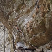 Nate Butcher's profile image