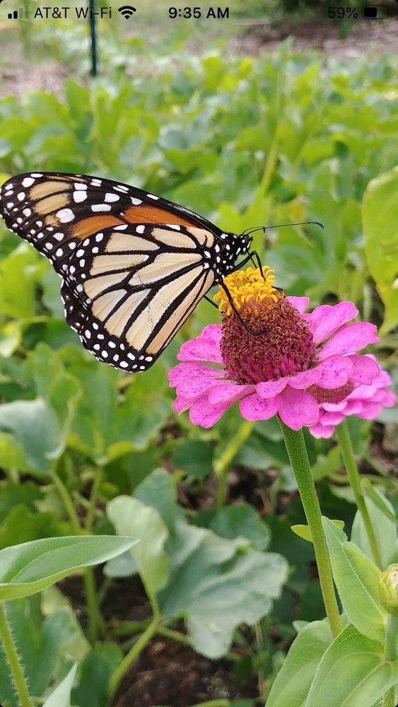 Deb S.'s profile image