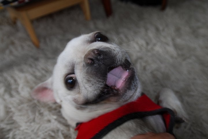 B c.'s profile image