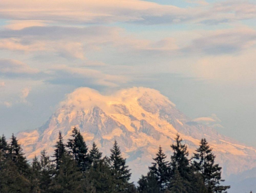 Darwin H.'s profile image