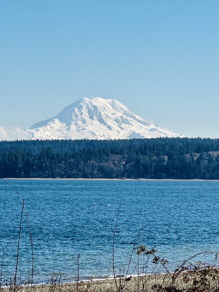 ForkingAround M.'s profile image