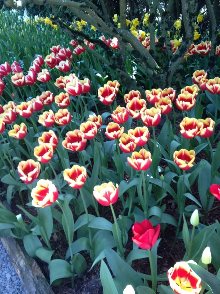 Kristina S.'s profile image