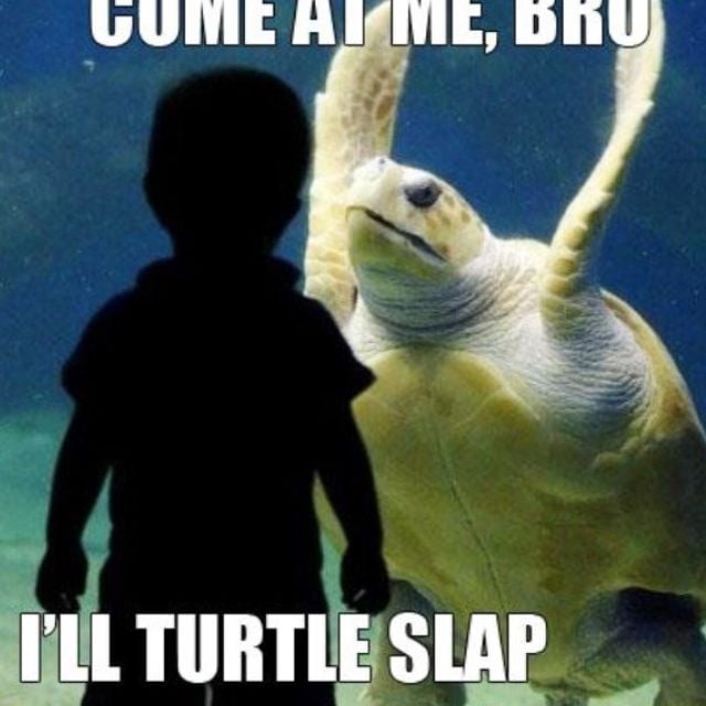 Jennifer M.'s profile image