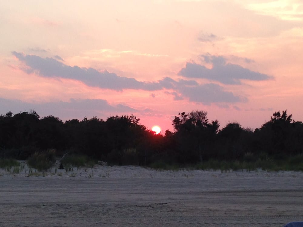 alejandra F.'s profile image