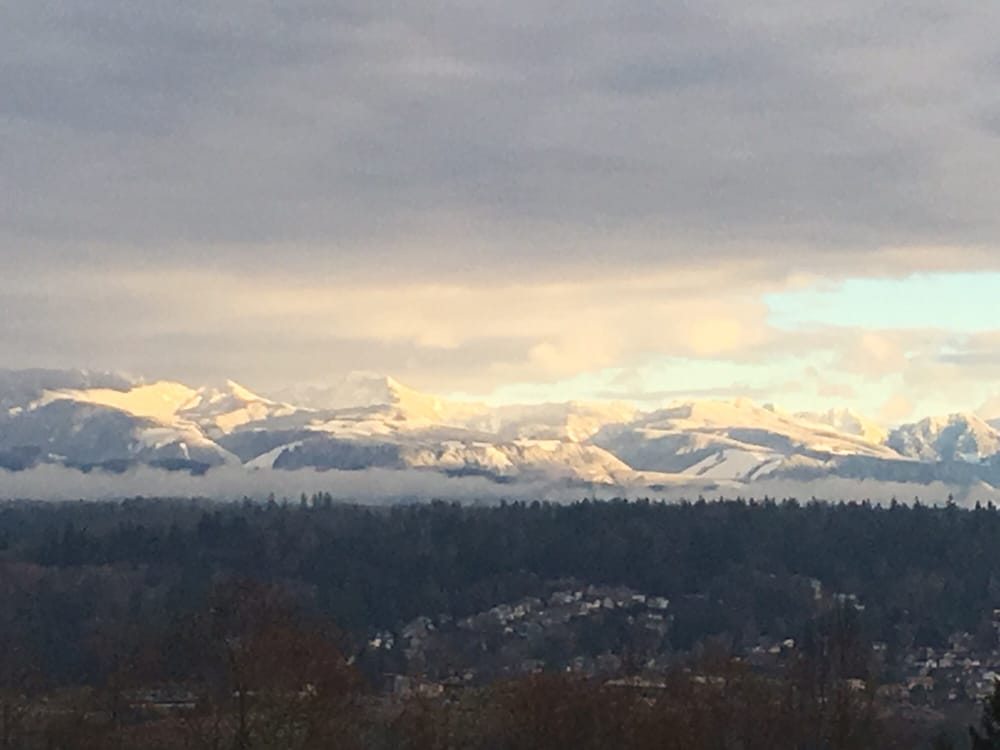 Dennis Z.'s profile image