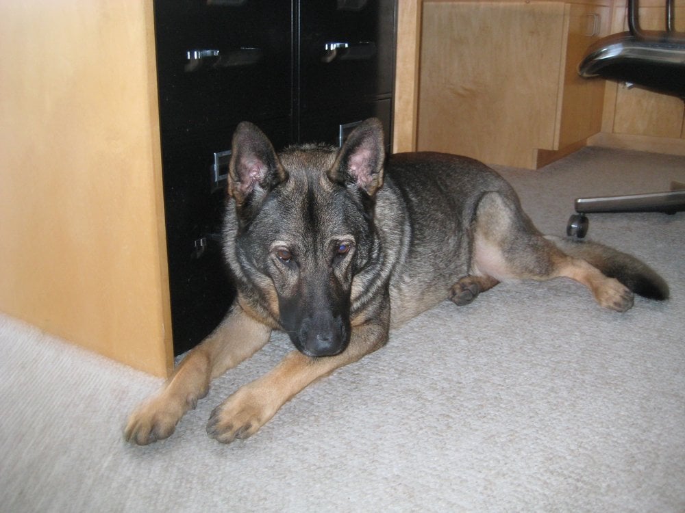 Karen L.'s profile image