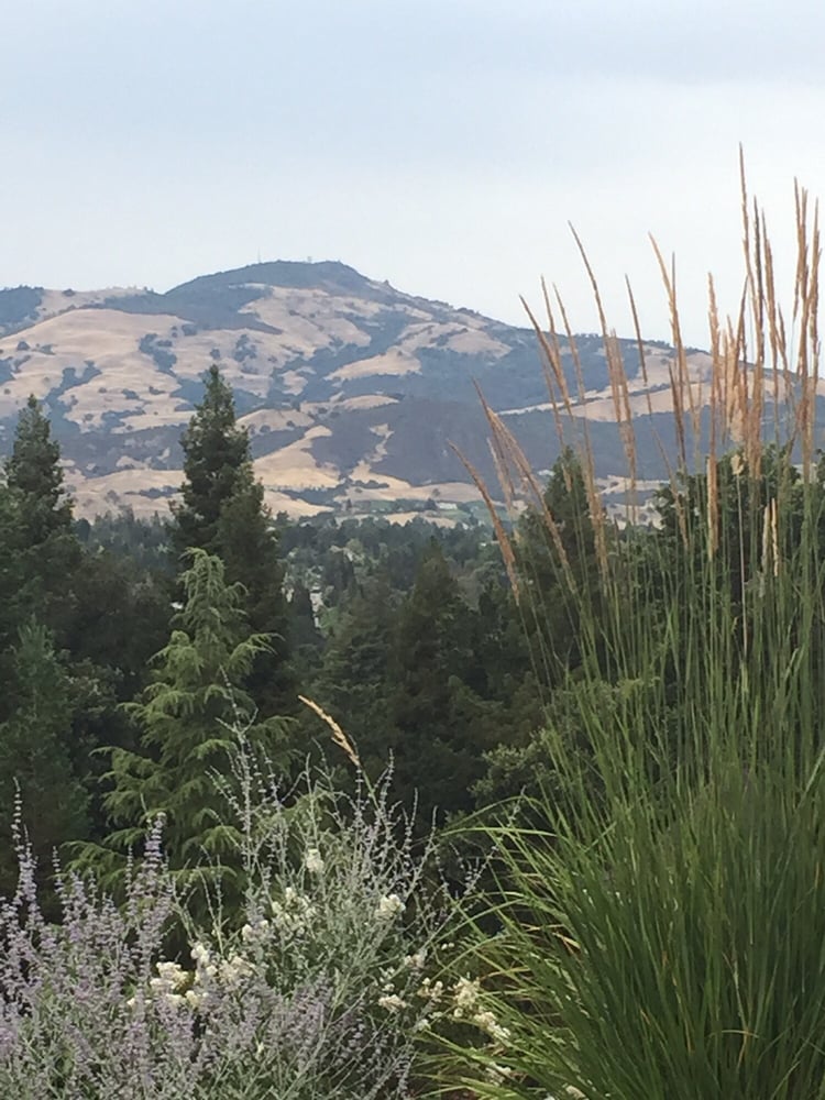 Kurt C.'s profile image