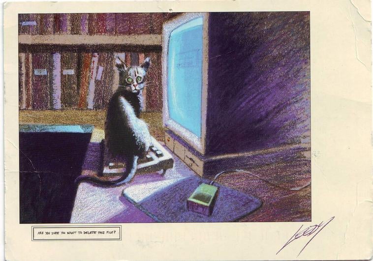 Rosemary H.'s profile image