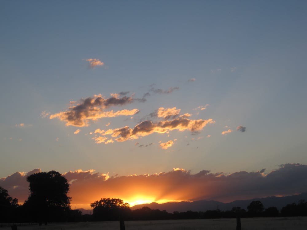 Laurie N.'s profile image