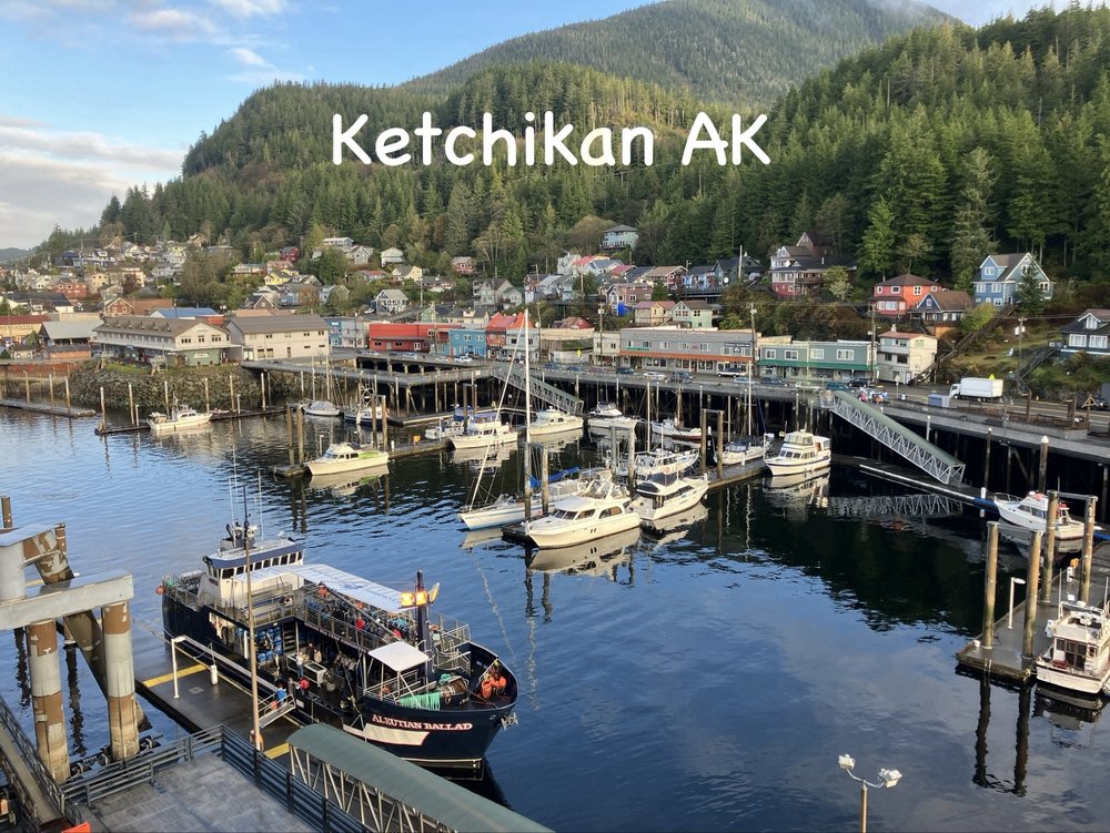 Steve P.'s profile image