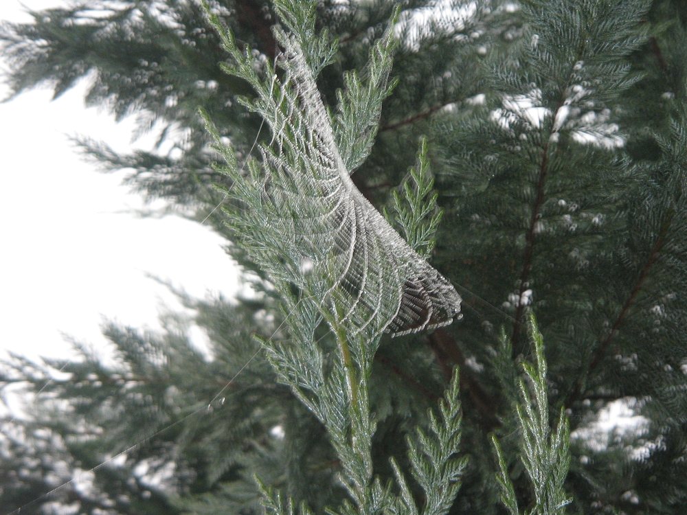 Marie C.'s profile image