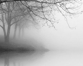 Marie C.'s profile image